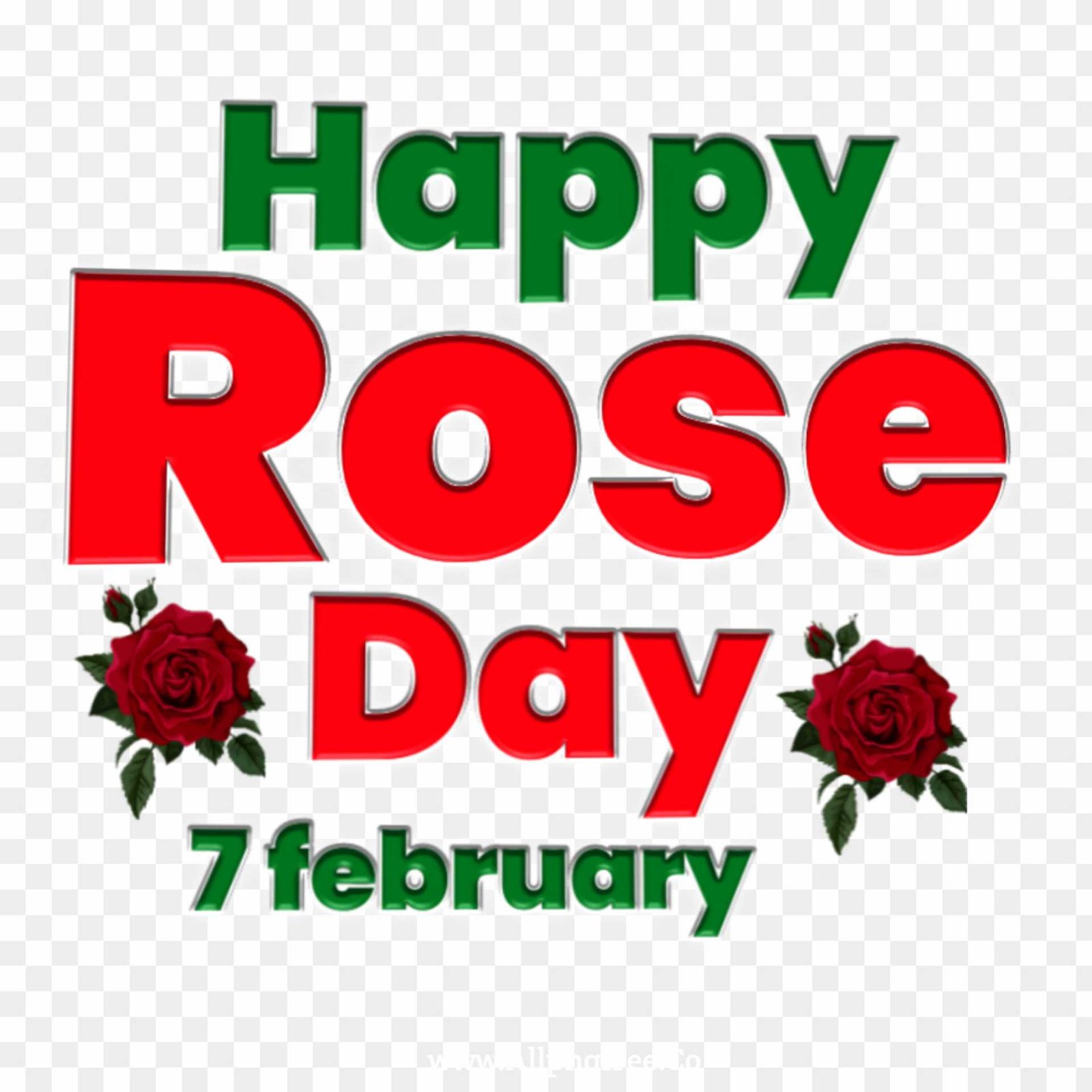 7 February Happy Rose Day png 