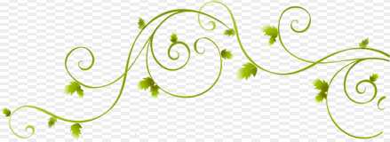 Corner green flower editing png