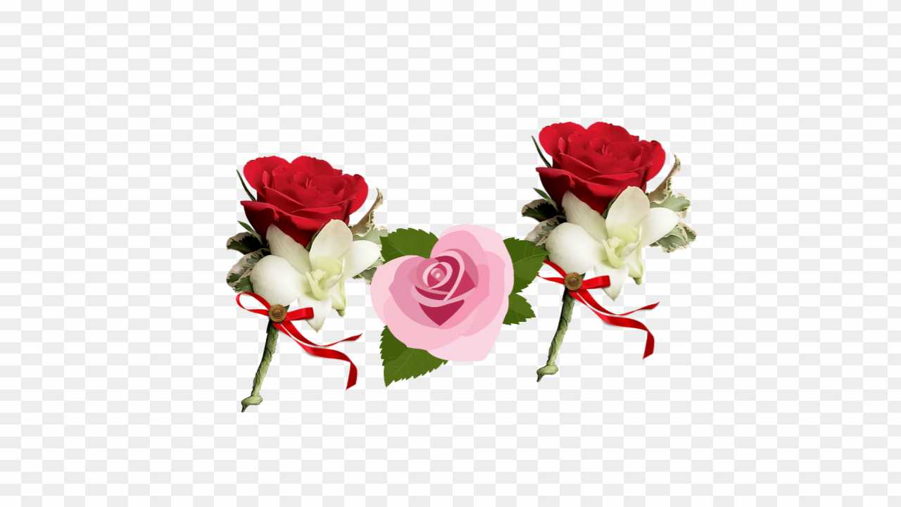 Flower png 