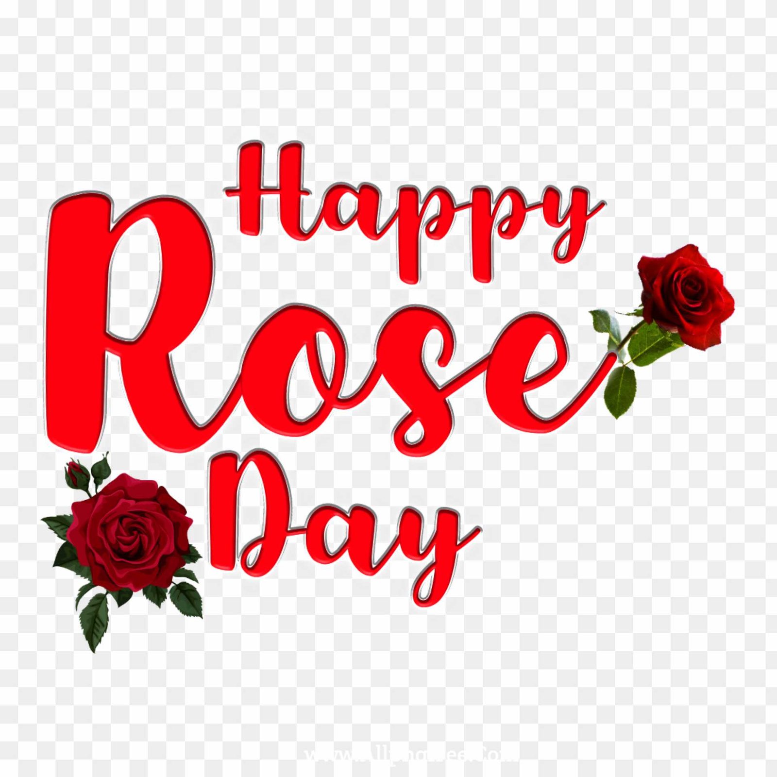 Happy Rose Day text PNG transparent images 