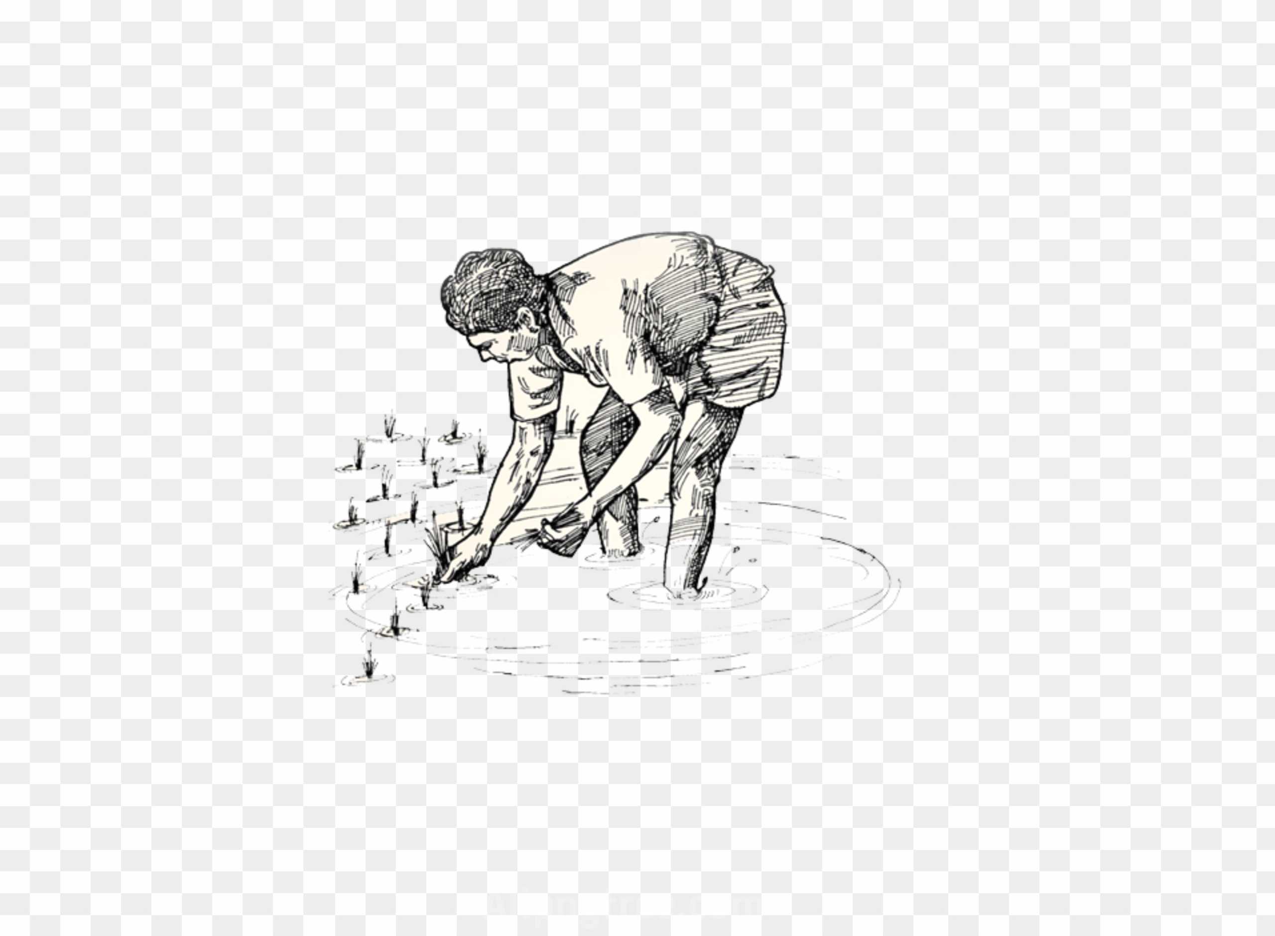 Indian Farmer PNG Images download