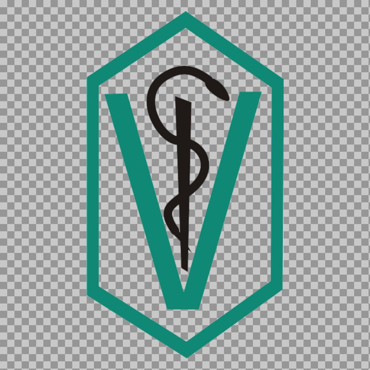 Medical V Pharmacy Logo PNG - Green Shield & Snake Staff