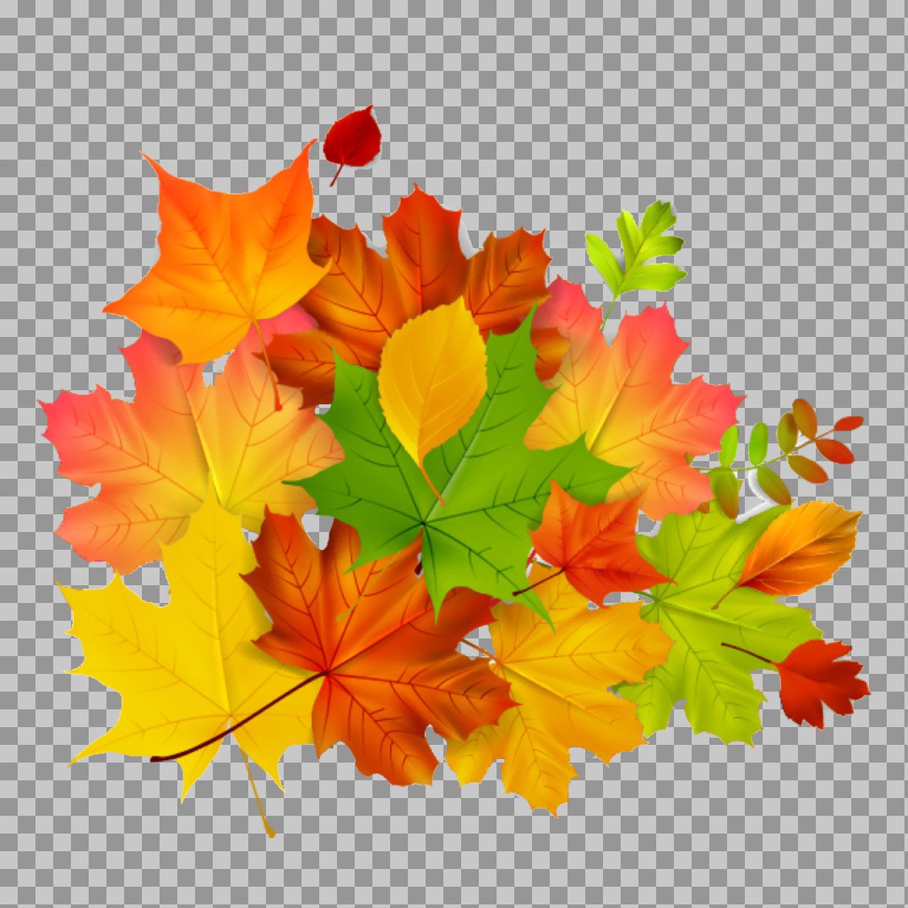 Colorful Autumn Leaves PNG | Vibrant Fall Foliage Graphic