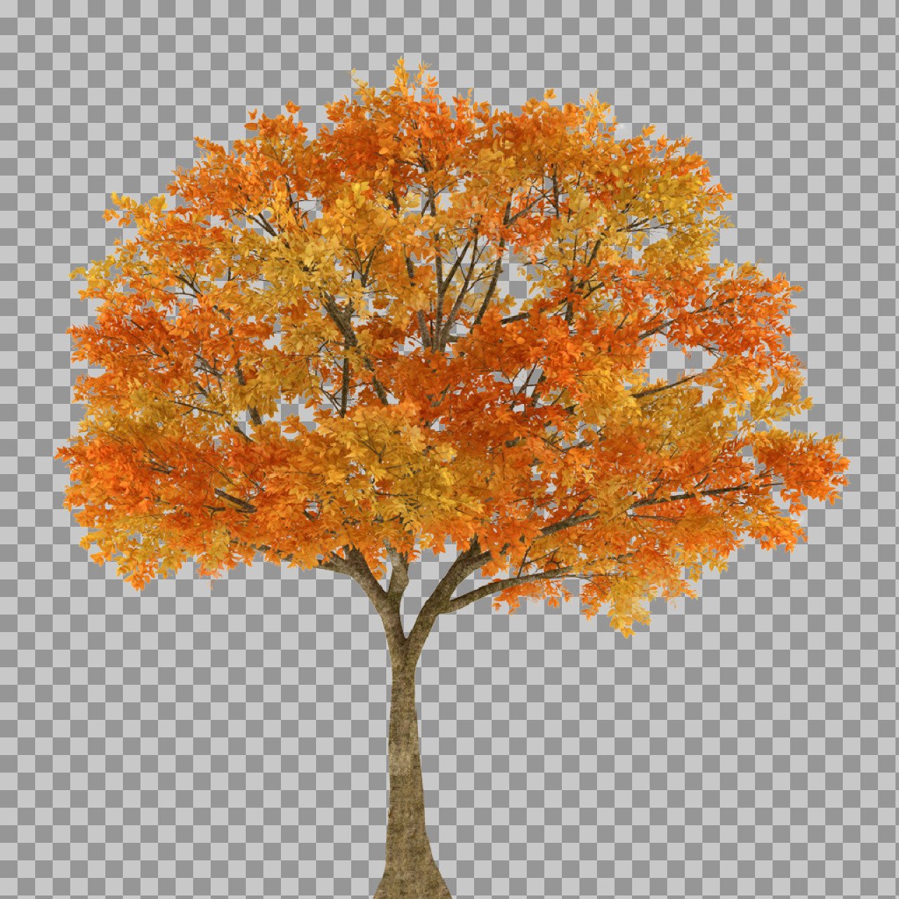 Autumn Tree PNG Transparent – Orange Fall Tree Image