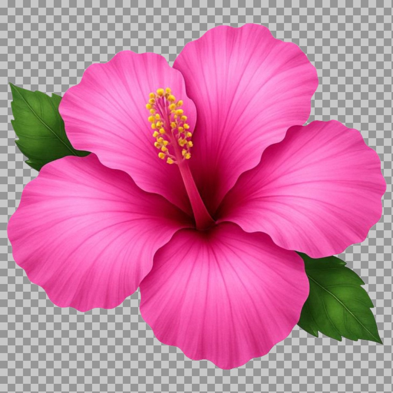 Pink Hibiscus Flower PNG | Tropical Hibiscus Bloom with Leaves