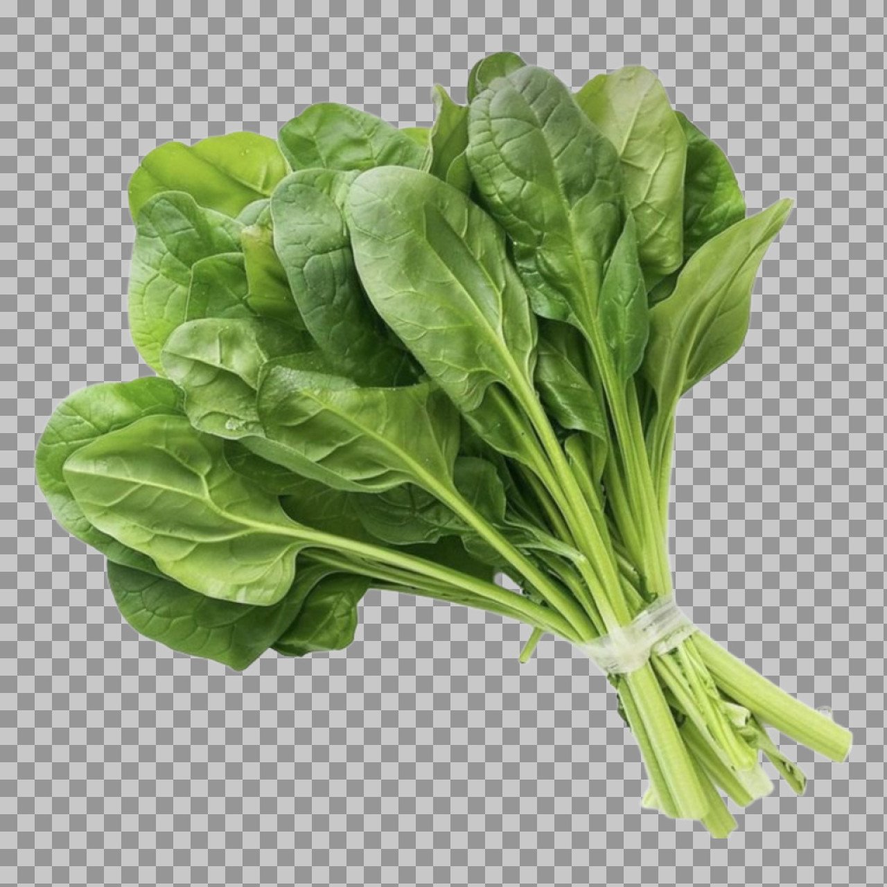 Fresh Spinach Leaves PNG Image – Organic Green Palak Transparent Background