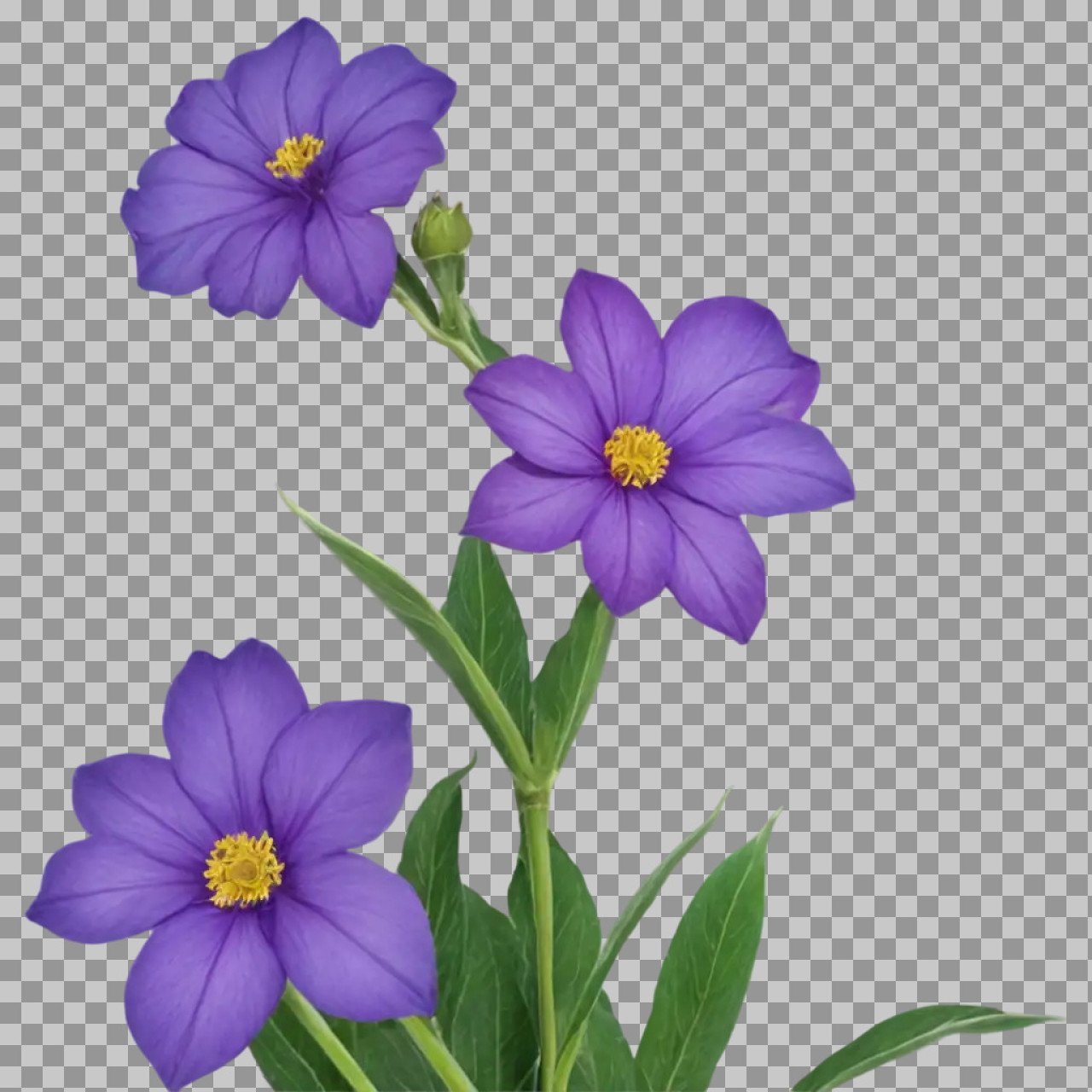Purple Flowers PNG Download | Violet Blossoms Transparent HD Image