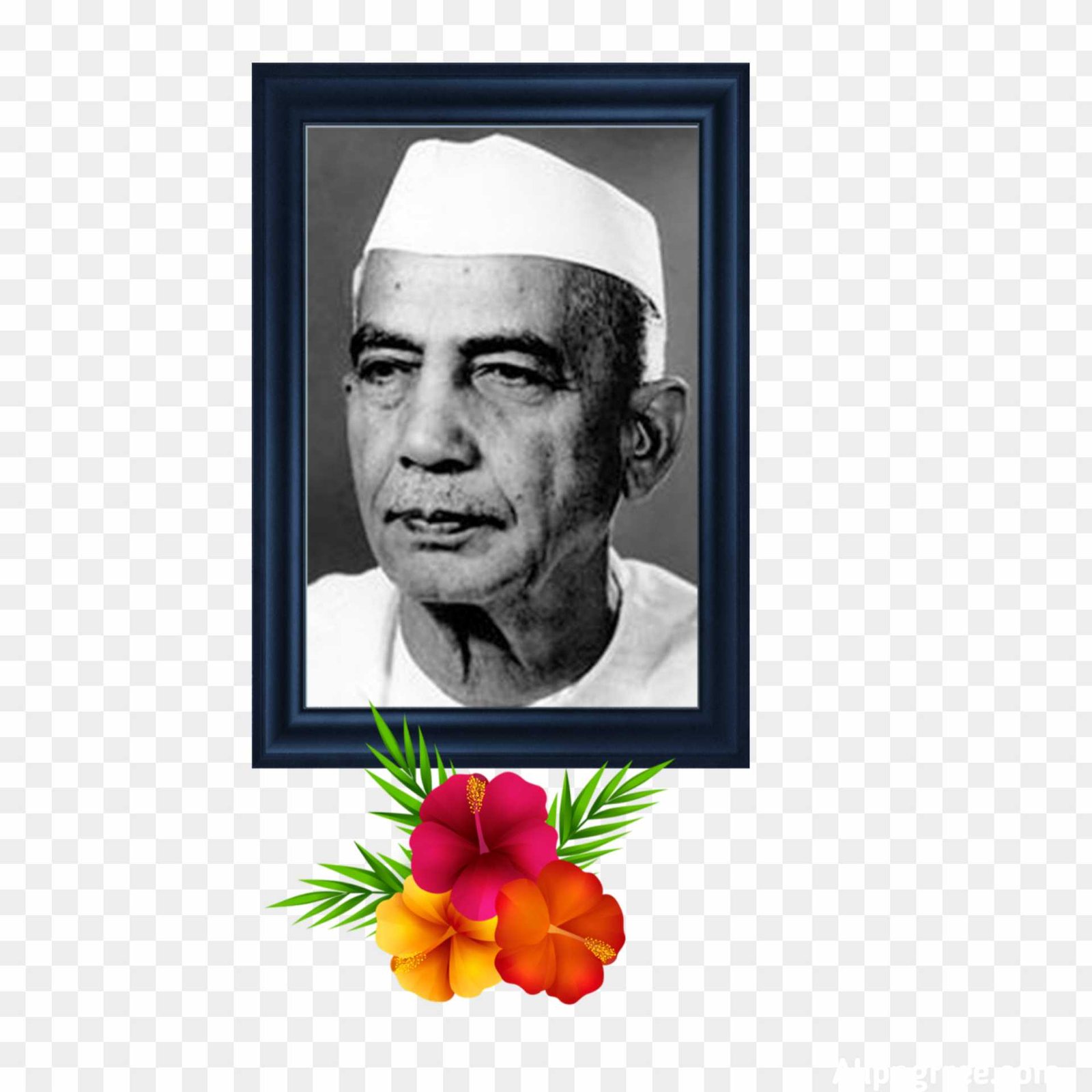 Chaudhary Charan Singh