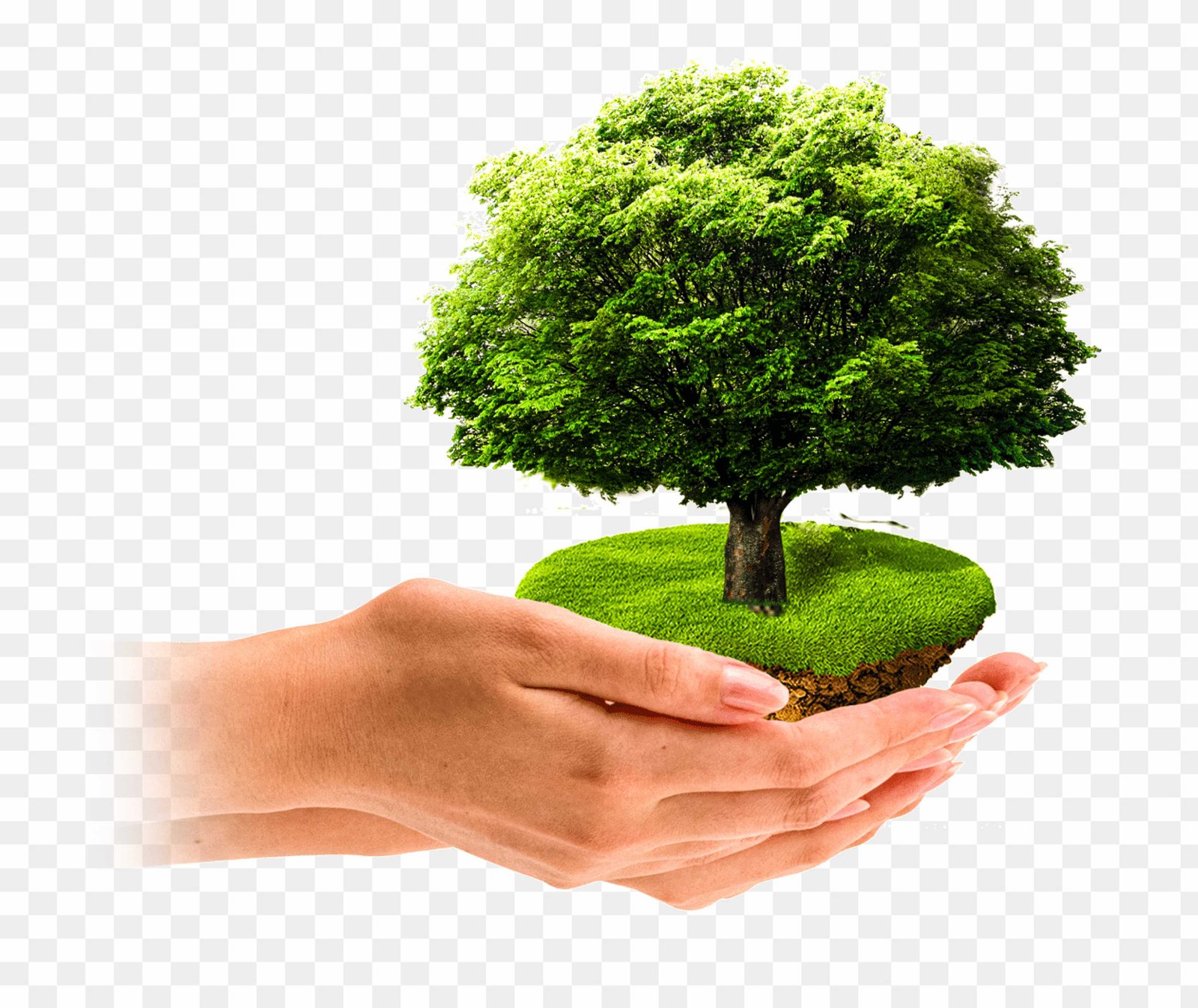 Environment Day png images download