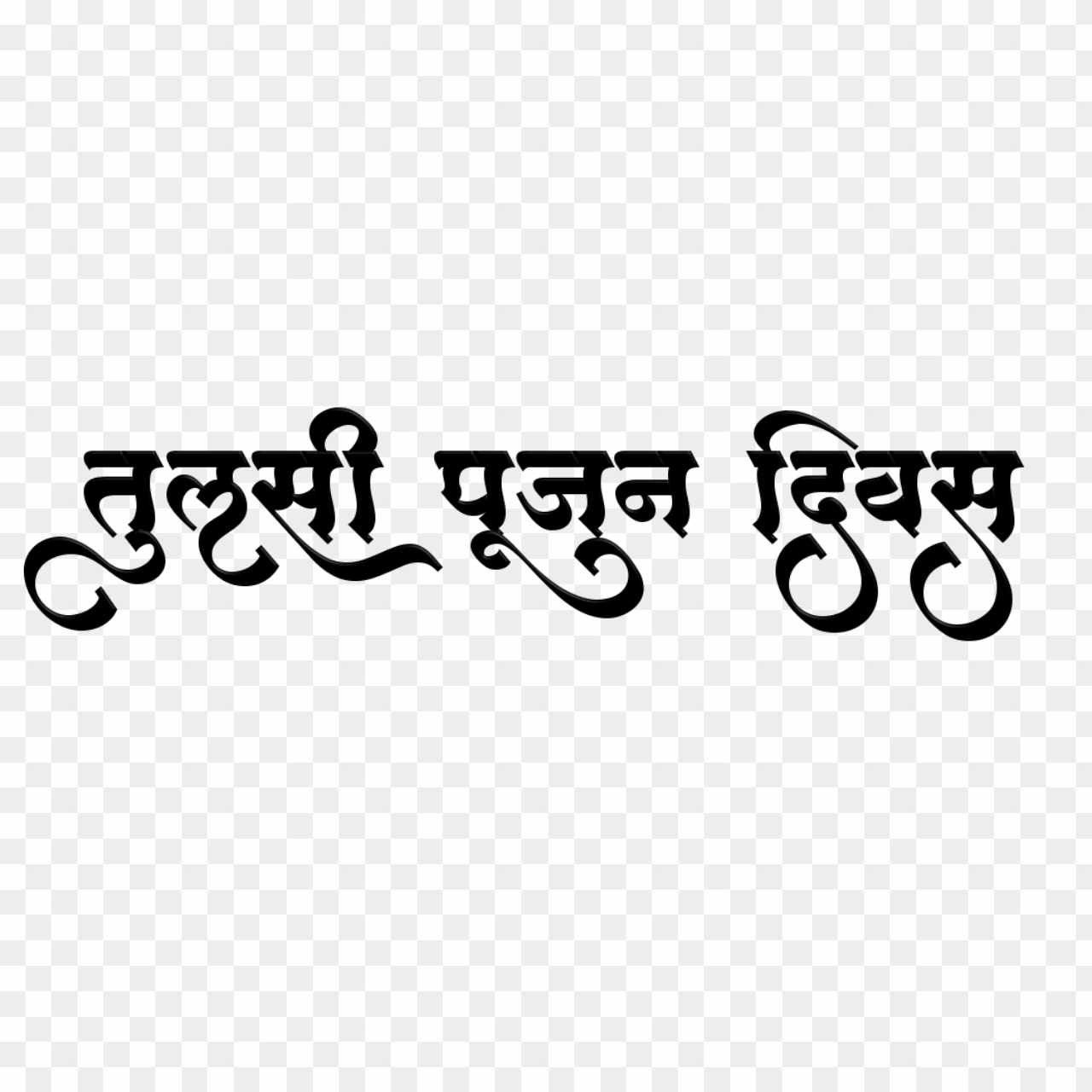 Tulsi Pujan Divas calligraphy text PNG transparent images